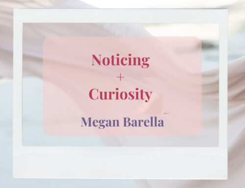 Noticing + Curiosity